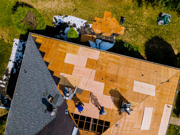 Best Roof Inspection Near Me  in Lexington, IL