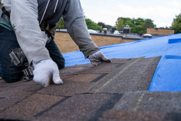 Best Gutter Installation and Roofing  in Lexington, IL