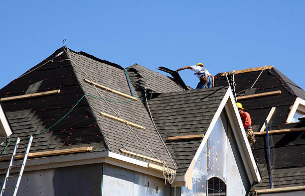 Best Roof Gutter Cleaning  in Lexington, IL